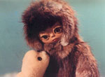 Inuit - image 7